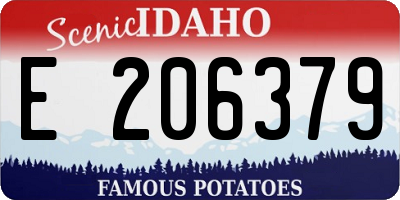 ID license plate E206379