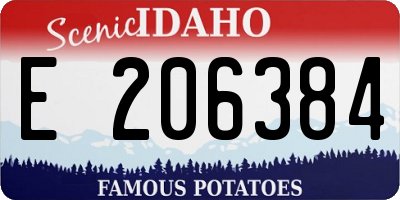 ID license plate E206384