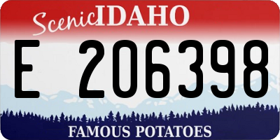 ID license plate E206398