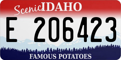 ID license plate E206423