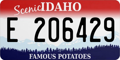 ID license plate E206429