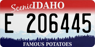 ID license plate E206445