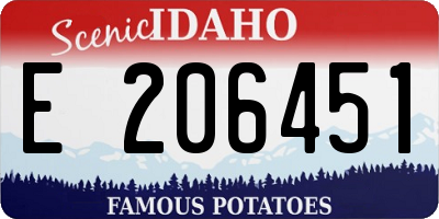 ID license plate E206451
