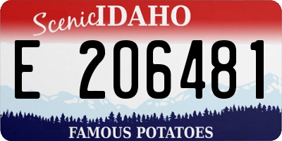 ID license plate E206481