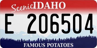 ID license plate E206504