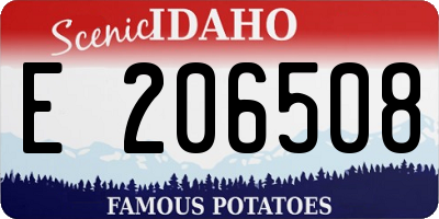 ID license plate E206508