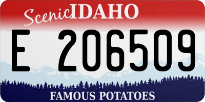 ID license plate E206509