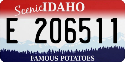 ID license plate E206511
