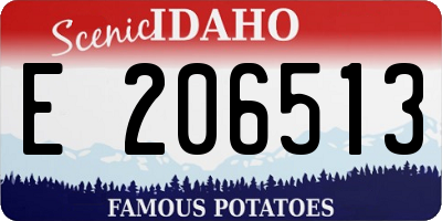 ID license plate E206513