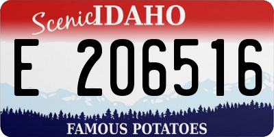 ID license plate E206516