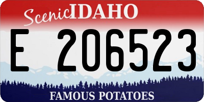 ID license plate E206523