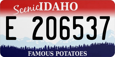 ID license plate E206537