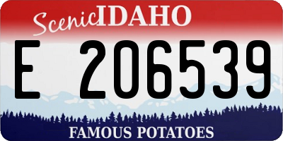 ID license plate E206539