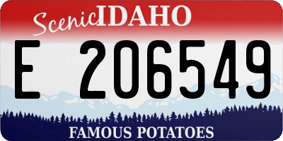 ID license plate E206549