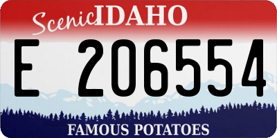 ID license plate E206554