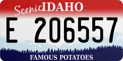 ID license plate E206557