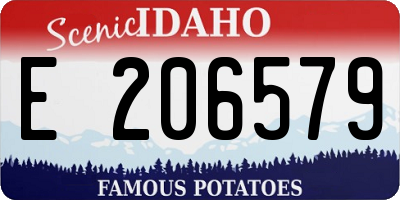 ID license plate E206579
