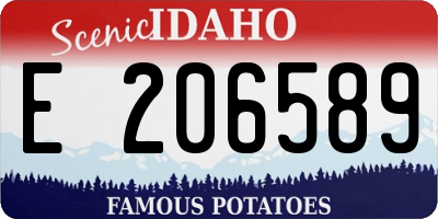 ID license plate E206589