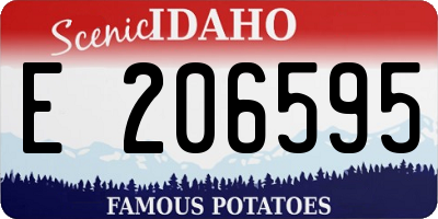 ID license plate E206595