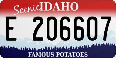 ID license plate E206607