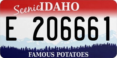 ID license plate E206661