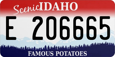 ID license plate E206665