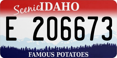 ID license plate E206673