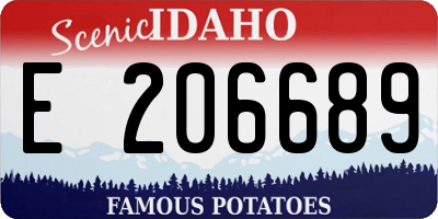 ID license plate E206689
