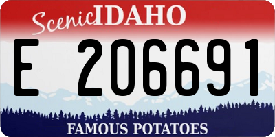 ID license plate E206691