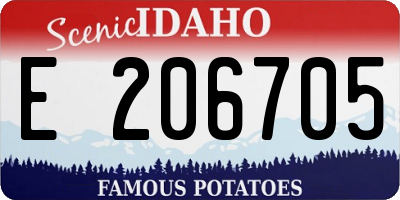 ID license plate E206705