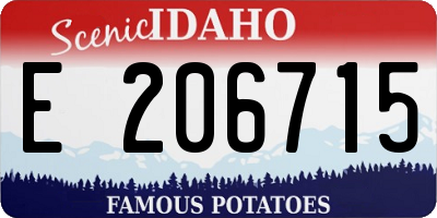 ID license plate E206715