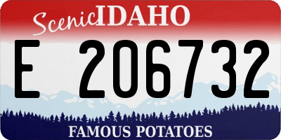 ID license plate E206732