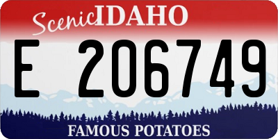 ID license plate E206749