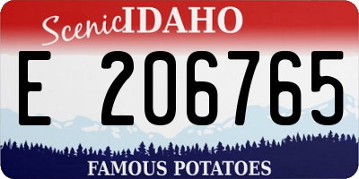 ID license plate E206765