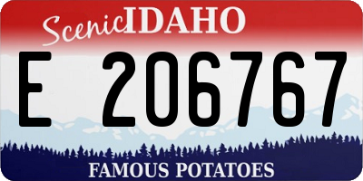 ID license plate E206767