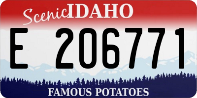 ID license plate E206771