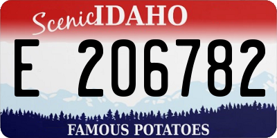 ID license plate E206782