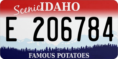 ID license plate E206784