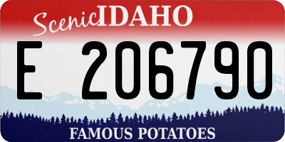 ID license plate E206790