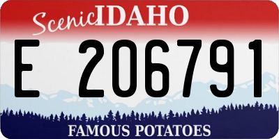 ID license plate E206791