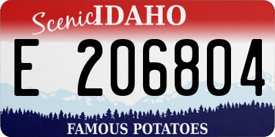 ID license plate E206804