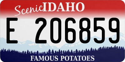ID license plate E206859