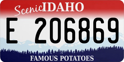 ID license plate E206869
