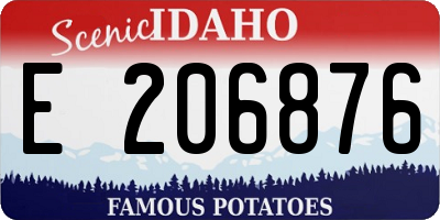 ID license plate E206876