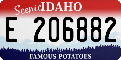 ID license plate E206882