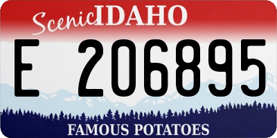 ID license plate E206895