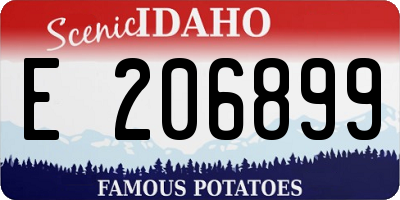 ID license plate E206899
