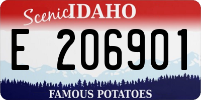 ID license plate E206901