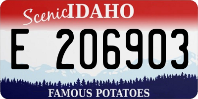 ID license plate E206903
