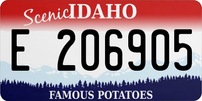 ID license plate E206905